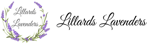 Lillards Lavenders